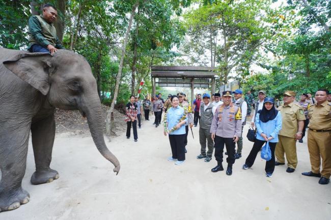 Kapolri-Titiek Soeharto Tinjau TNTN: Dukung Pelestarian Gajah hingga Tanam Pohon